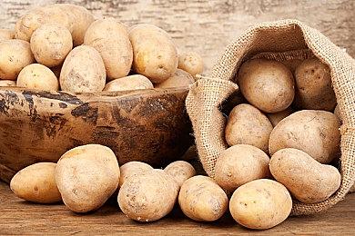 《原神》获2021年苹果设计大奖视觉图像奖